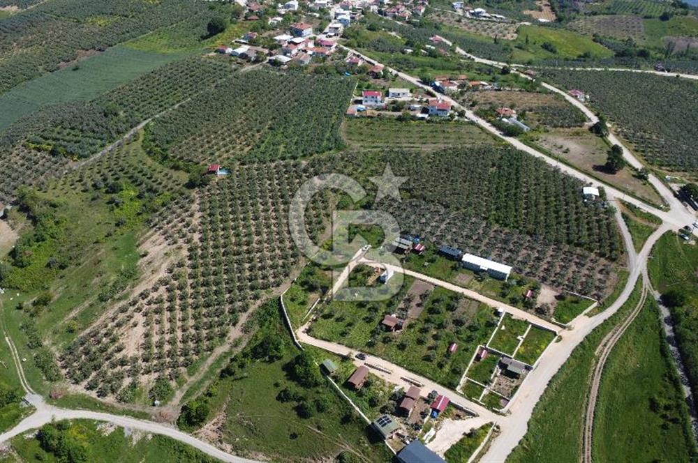 MUDANYA ÇINARLI’DA DOĞA İÇİNDE SATILIK HOBİ BAHÇESİ