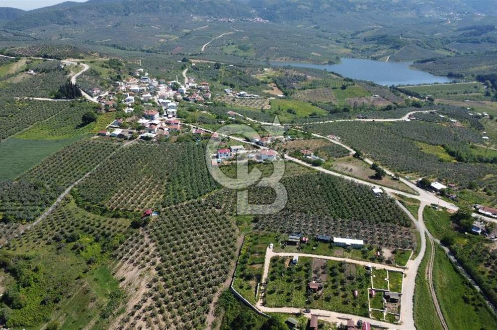 MUDANYA ÇINARLI’DA DOĞA İÇİNDE SATILIK HOBİ BAHÇESİ