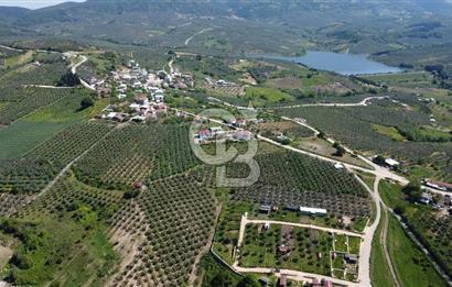 MUDANYA ÇINARLI’DA DOĞA İÇİNDE SATILIK HOBİ BAHÇESİ