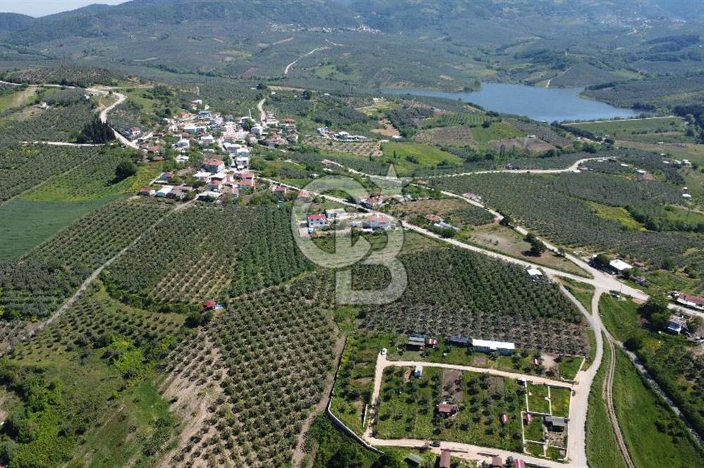 MUDANYA ÇINARLI’DA DOĞA İÇİNDE SATILIK HOBİ BAHÇESİ