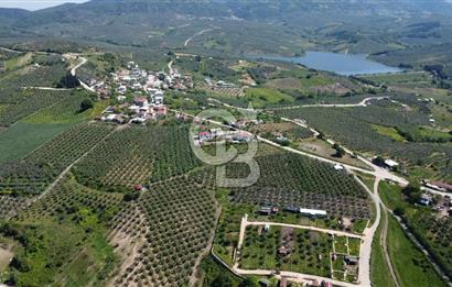 MUDANYA ÇINARLI’DA DOĞA İÇİNDE SATILIK HOBİ BAHÇESİ