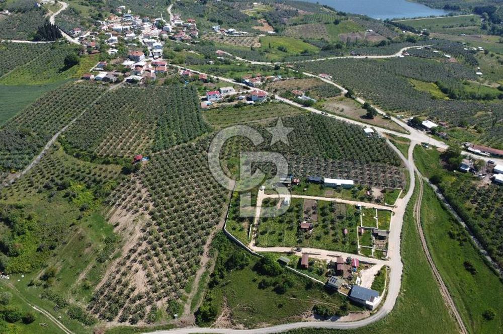 MUDANYA ÇINARLI’DA DOĞA İÇİNDE SATILIK HOBİ BAHÇESİ