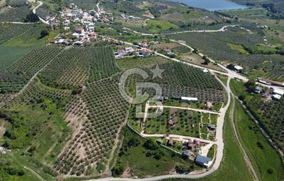 MUDANYA ÇINARLI’DA DOĞA İÇİNDE SATILIK HOBİ BAHÇESİ