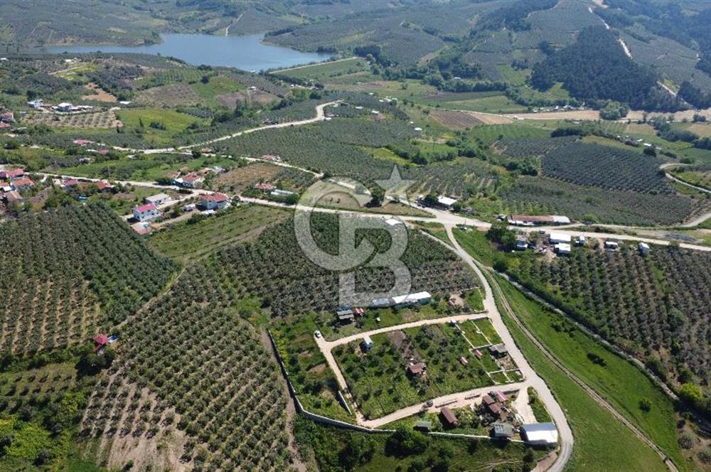 MUDANYA ÇINARLI’DA DOĞA İÇİNDE SATILIK HOBİ BAHÇESİ