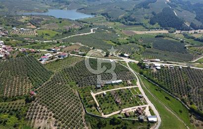 MUDANYA ÇINARLI’DA DOĞA İÇİNDE SATILIK HOBİ BAHÇESİ