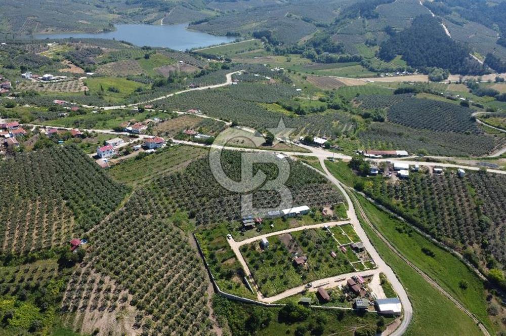 MUDANYA ÇINARLI’DA DOĞA İÇİNDE SATILIK HOBİ BAHÇESİ