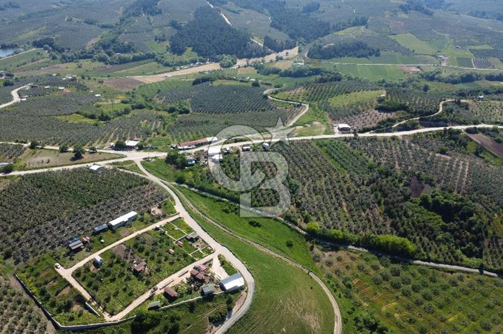 MUDANYA ÇINARLI’DA DOĞA İÇİNDE SATILIK HOBİ BAHÇESİ