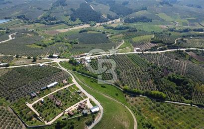 MUDANYA ÇINARLI’DA DOĞA İÇİNDE SATILIK HOBİ BAHÇESİ