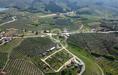 MUDANYA ÇINARLI’DA DOĞA İÇİNDE SATILIK HOBİ BAHÇESİ