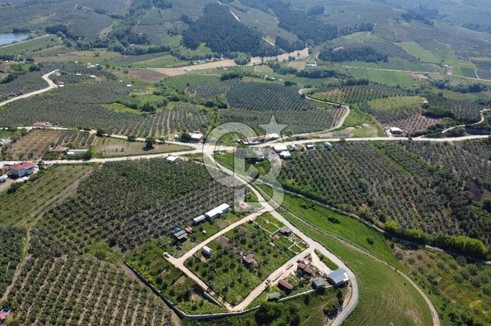 MUDANYA ÇINARLI’DA DOĞA İÇİNDE SATILIK HOBİ BAHÇESİ