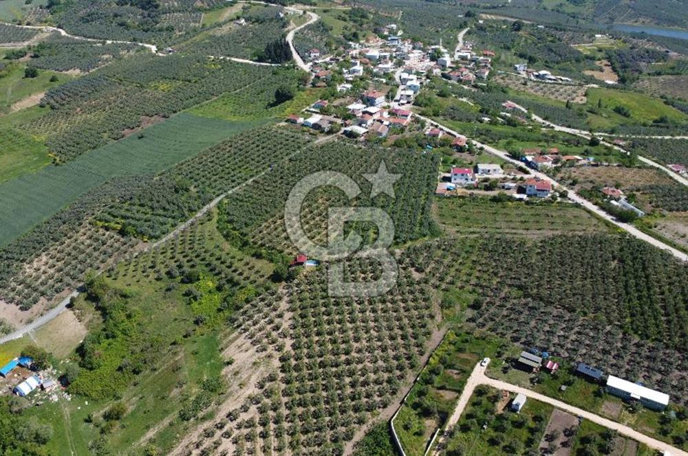 MUDANYA ÇINARLI’DA DOĞA İÇİNDE SATILIK HOBİ BAHÇESİ