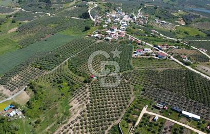 MUDANYA ÇINARLI’DA DOĞA İÇİNDE SATILIK HOBİ BAHÇESİ