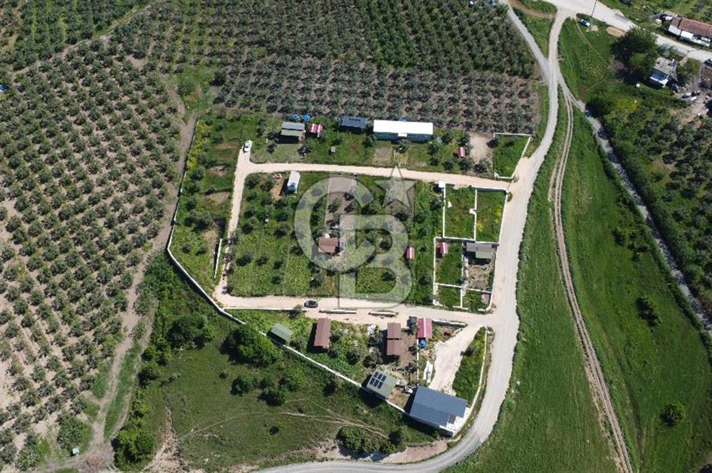 MUDANYA ÇINARLI’DA DOĞA İÇİNDE SATILIK HOBİ BAHÇESİ