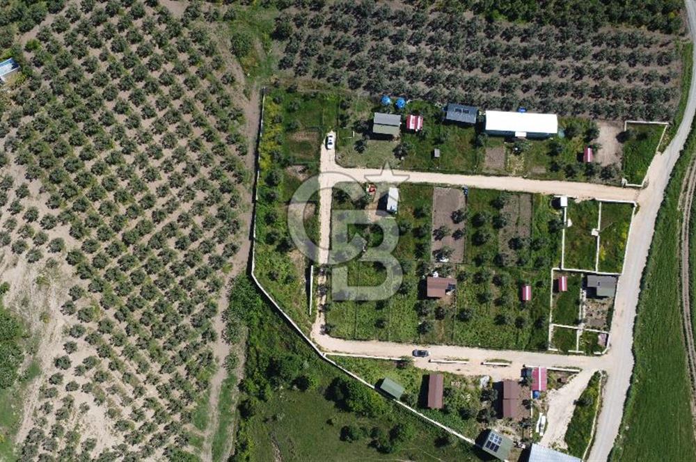 MUDANYA ÇINARLI’DA DOĞA İÇİNDE SATILIK HOBİ BAHÇESİ