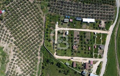 MUDANYA ÇINARLI’DA DOĞA İÇİNDE SATILIK HOBİ BAHÇESİ
