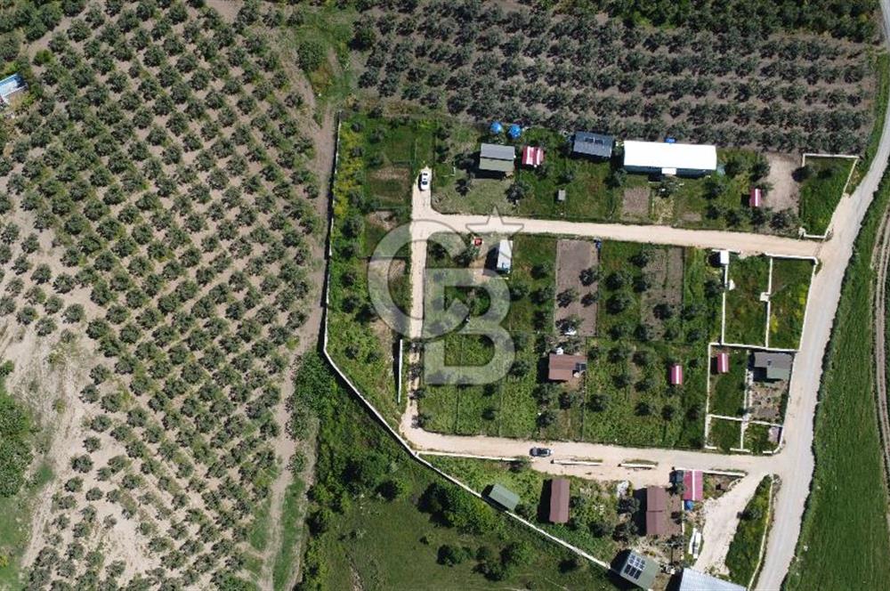 MUDANYA ÇINARLI’DA DOĞA İÇİNDE SATILIK HOBİ BAHÇESİ