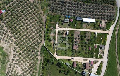 MUDANYA ÇINARLI’DA DOĞA İÇİNDE SATILIK HOBİ BAHÇESİ