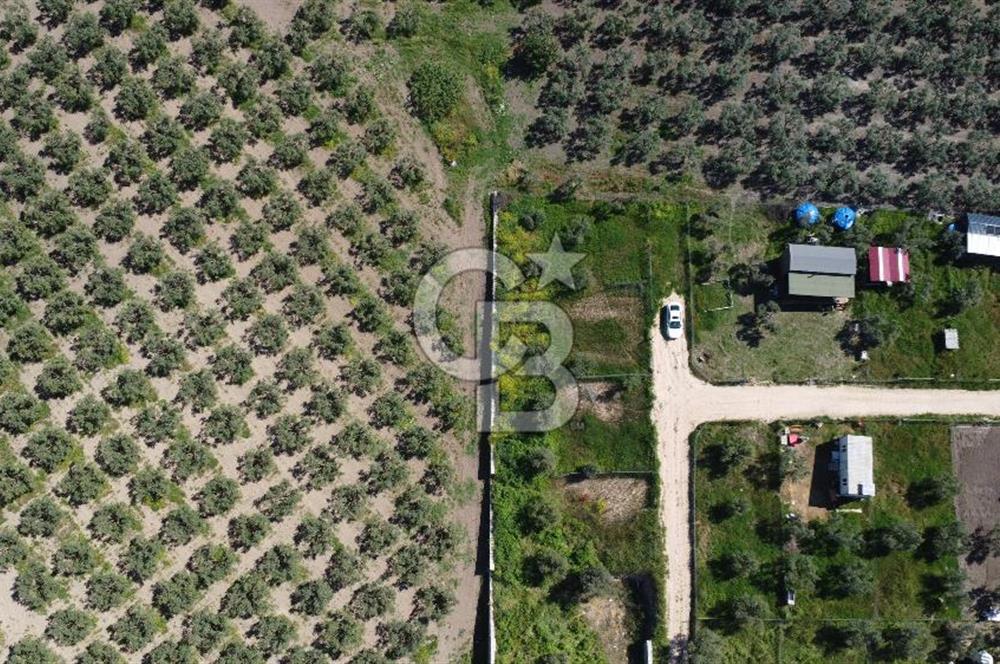 MUDANYA ÇINARLI’DA DOĞA İÇİNDE SATILIK HOBİ BAHÇESİ