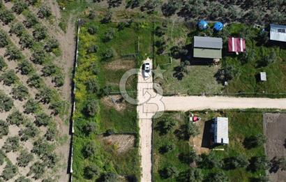 MUDANYA ÇINARLI’DA DOĞA İÇİNDE SATILIK HOBİ BAHÇESİ