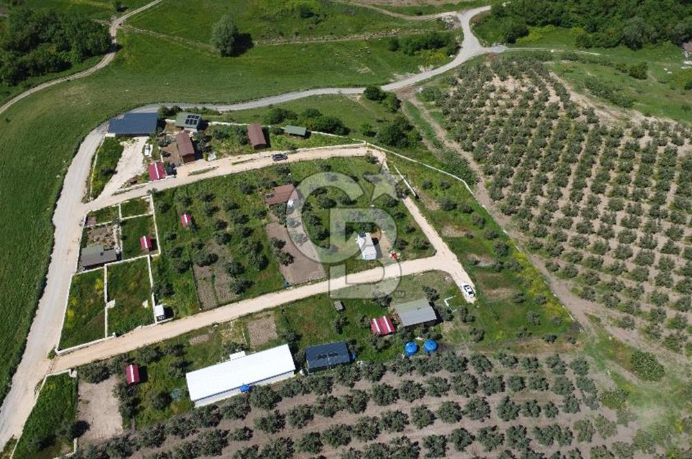 MUDANYA ÇINARLI’DA DOĞA İÇİNDE SATILIK HOBİ BAHÇESİ