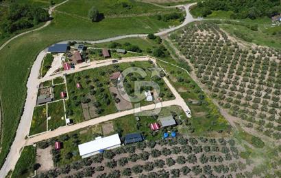 MUDANYA ÇINARLI’DA DOĞA İÇİNDE SATILIK HOBİ BAHÇESİ