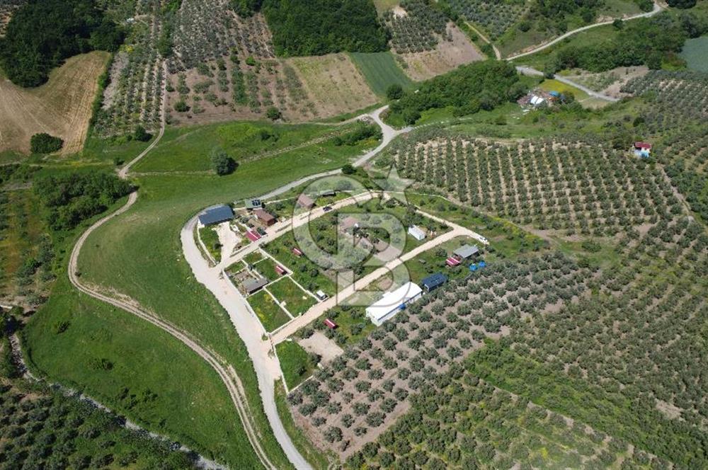 MUDANYA ÇINARLI’DA DOĞA İÇİNDE SATILIK HOBİ BAHÇESİ