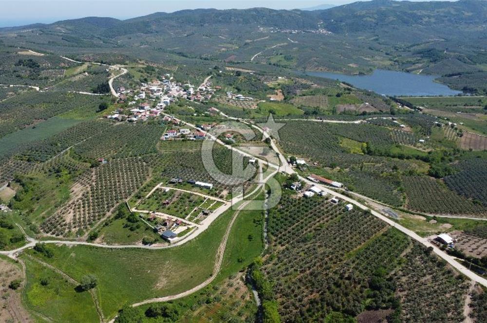 MUDANYA ÇINARLI’DA DOĞA İÇİNDE SATILIK HOBİ BAHÇESİ