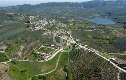 MUDANYA ÇINARLI’DA DOĞA İÇİNDE SATILIK HOBİ BAHÇESİ