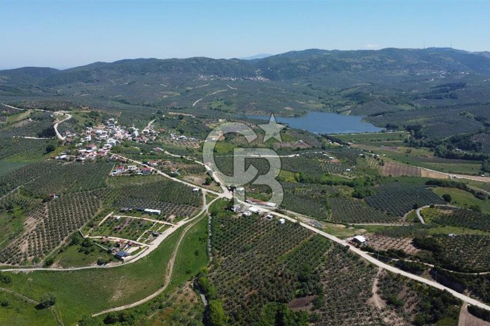 MUDANYA ÇINARLI’DA DOĞA İÇİNDE SATILIK HOBİ BAHÇESİ
