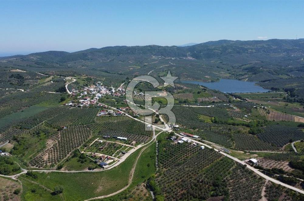MUDANYA ÇINARLI’DA DOĞA İÇİNDE SATILIK HOBİ BAHÇESİ