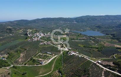 MUDANYA ÇINARLI’DA DOĞA İÇİNDE SATILIK HOBİ BAHÇESİ