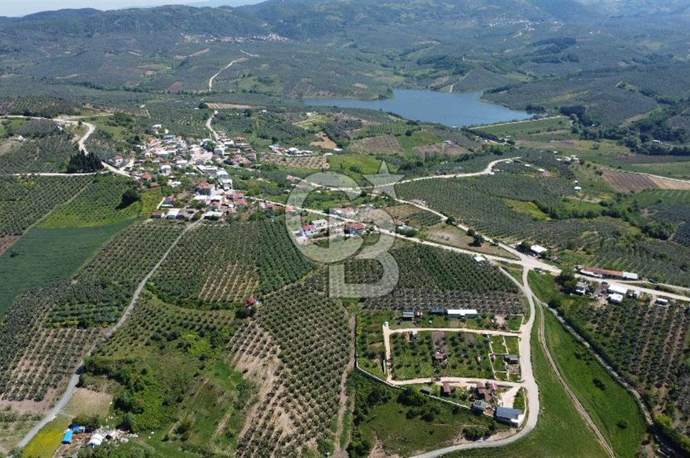 MUDANYA ÇINARLI’DA DOĞA İÇİNDE SATILIK HOBİ BAHÇESİ