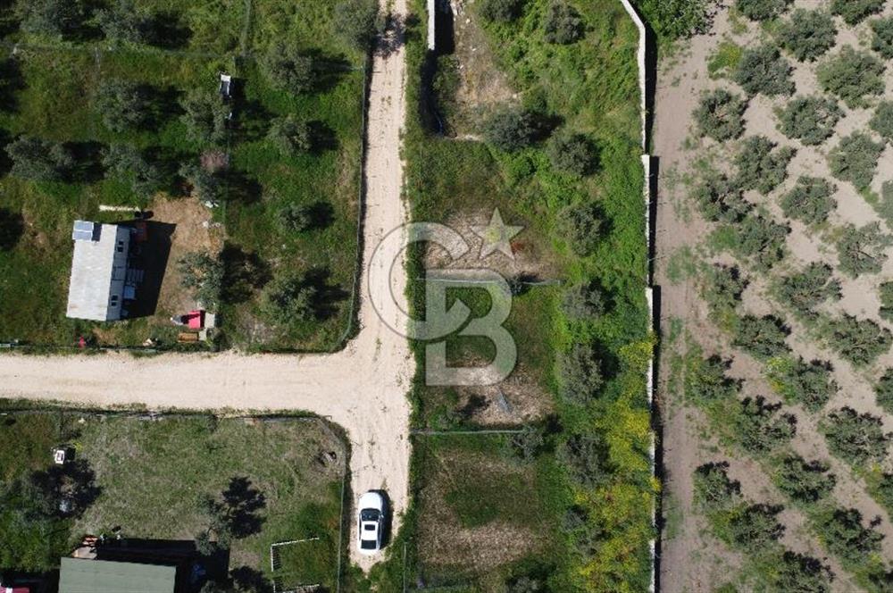 MUDANYA ÇINARLI’DA DOĞA İÇİNDE SATILIK HOBİ BAHÇESİ