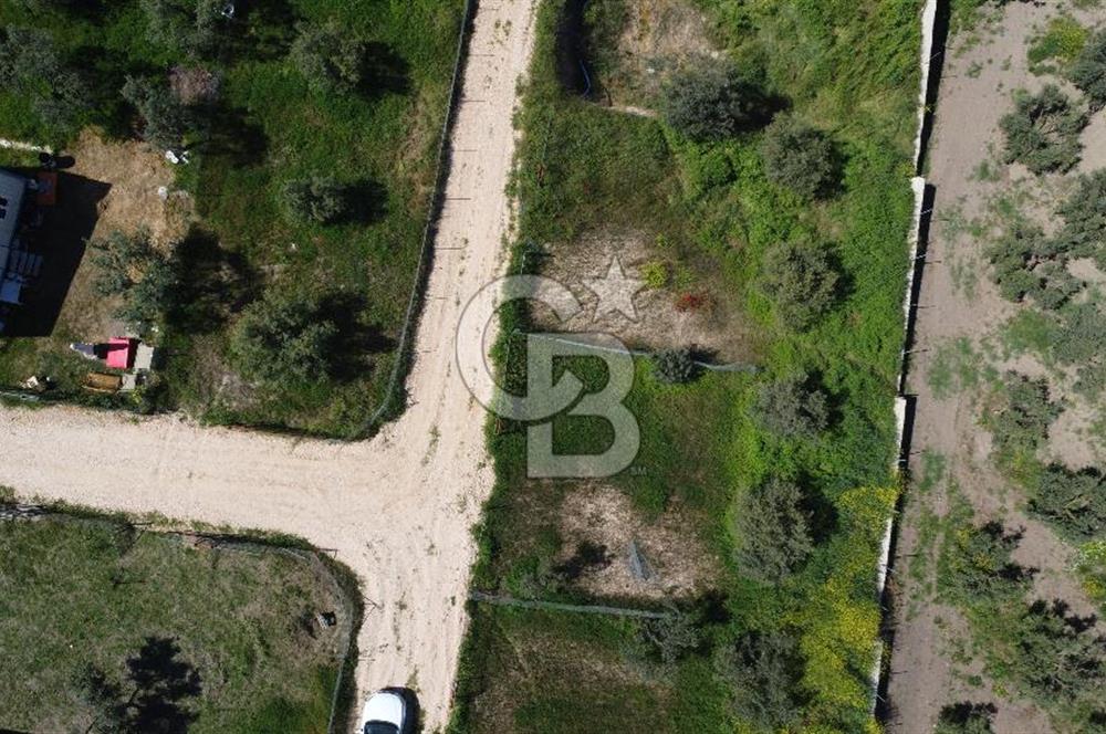 MUDANYA ÇINARLI’DA DOĞA İÇİNDE SATILIK HOBİ BAHÇESİ