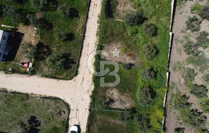 MUDANYA ÇINARLI’DA DOĞA İÇİNDE SATILIK HOBİ BAHÇESİ