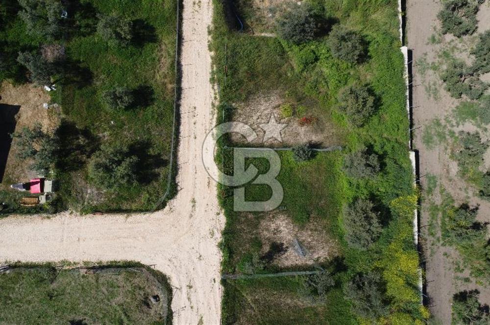 MUDANYA ÇINARLI’DA DOĞA İÇİNDE SATILIK HOBİ BAHÇESİ