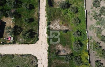 MUDANYA ÇINARLI’DA DOĞA İÇİNDE SATILIK HOBİ BAHÇESİ