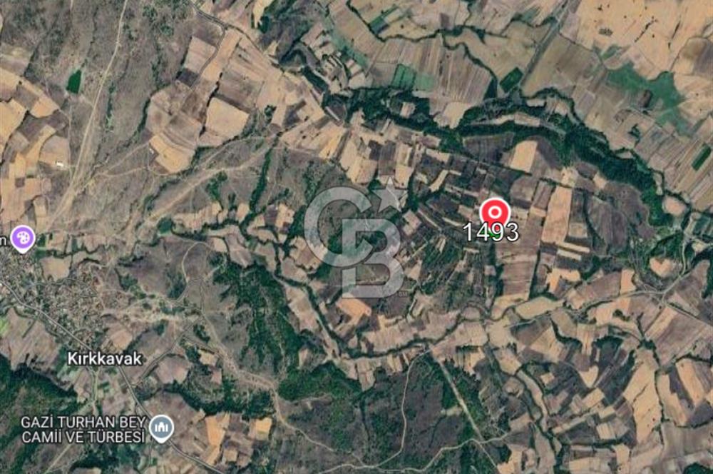 Edirne Uzunköprü Kırkkavak Köyünde 3900 M² Satılık Tarla
