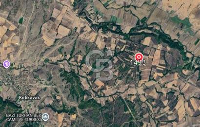 Edirne Uzunköprü Kırkkavak Köyünde 3900 M² Satılık Tarla