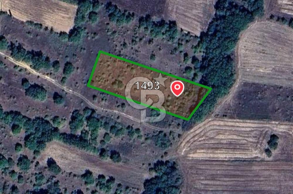 Edirne Uzunköprü Kırkkavak Köyünde 3900 M² Satılık Tarla