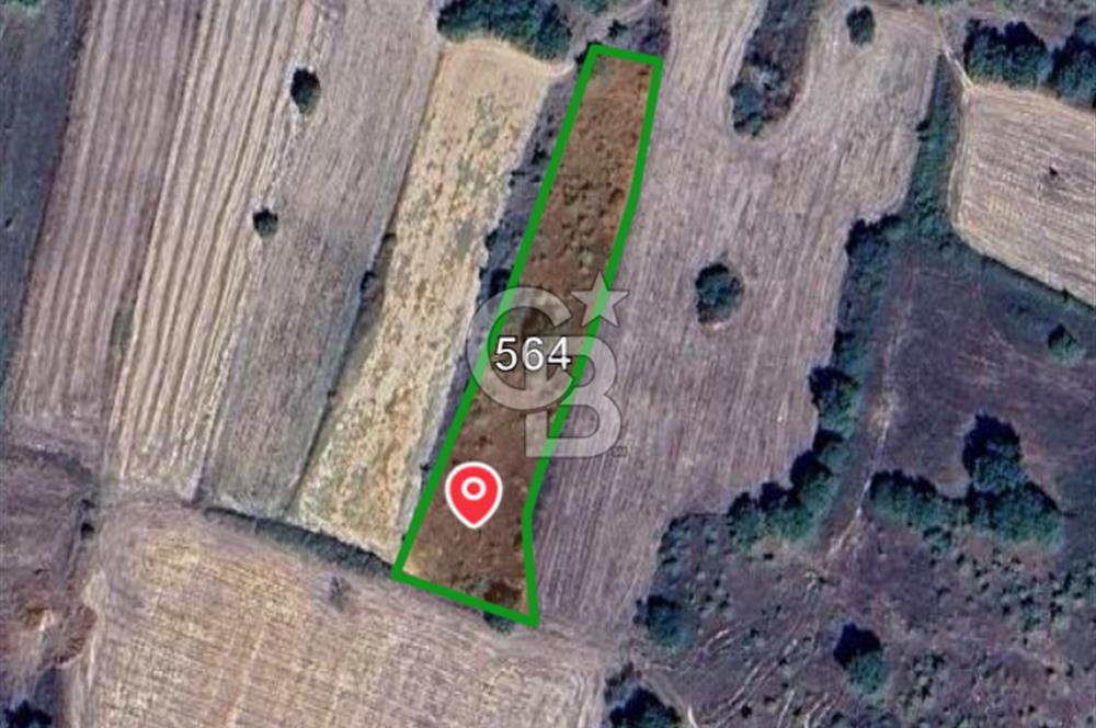 Edirne Uzunköprü Kırkkavak Köyünde 3050 M² Satılık Tarla