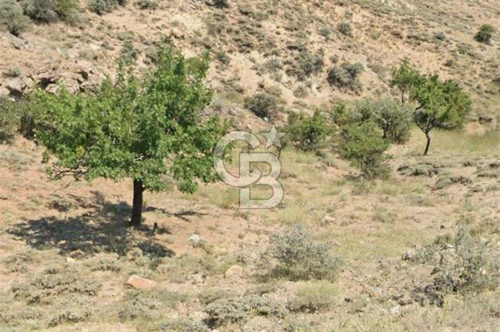 YENİMAHALLE YUVADA DEĞER KAZANAN BÖLGEDE SATILIK ARSA