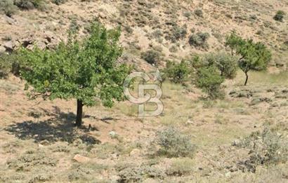 YENİMAHALLE YUVADA DEĞER KAZANAN BÖLGEDE SATILIK ARSA