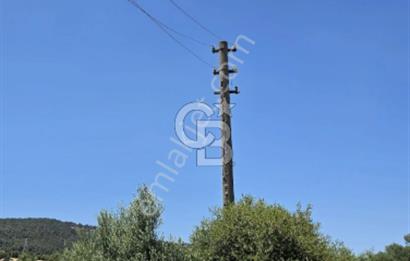 ÇANAKKALE GELİBOLU BURHANLIDA BOĞAZ MANZARALI FIRSAT ARSA