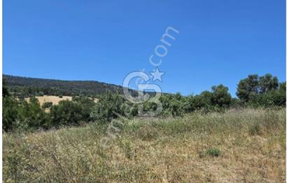 ÇANAKKALE GELİBOLU BURHANLIDA BOĞAZ MANZARALI FIRSAT ARSA