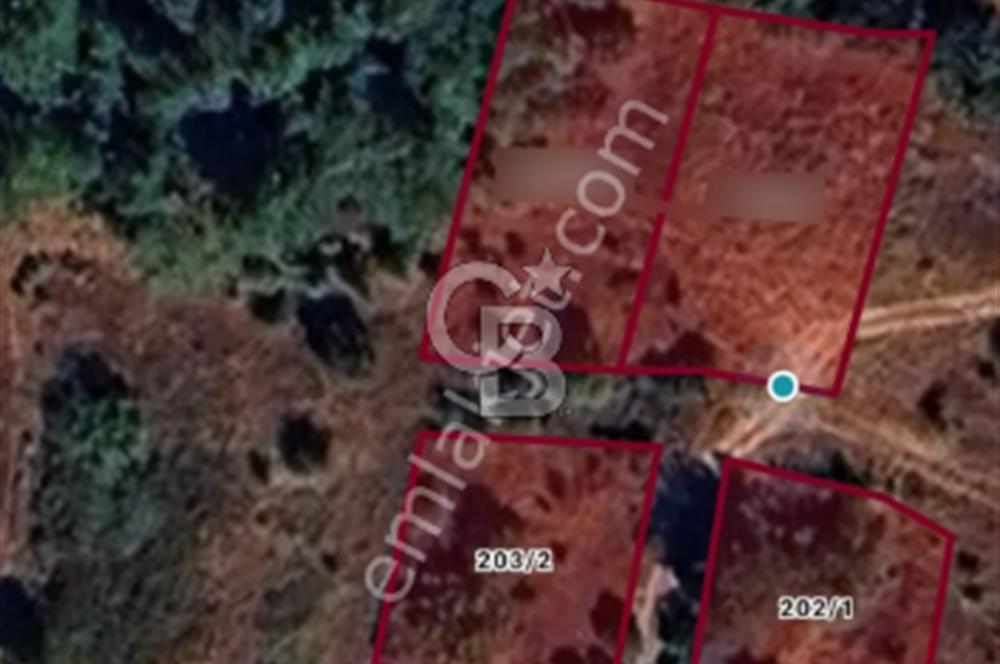 ÇANAKKALE GELİBOLU BURHANLIDA BOĞAZ MANZARALI FIRSAT ARSA