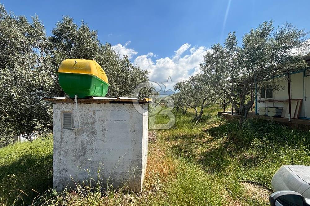 Belenbaşı’nda Hazır Bahçe! Meyveler Dalında, Evinizin Temeli Atılmış..