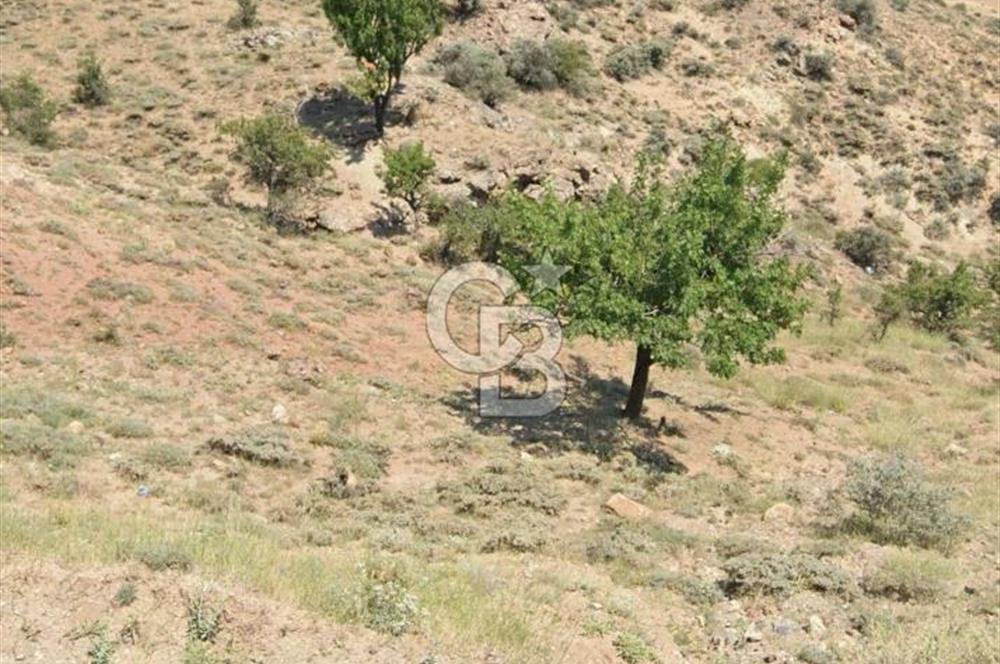 YENİMAHALLE YUVADA DEĞER KAZANAN BÖLGEDE SATILIK ARSA