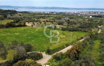 ÇANAKKALE LAPSEKİ ÇARDAK'TA YOLU OLAN SATILIK 3490 M2 BAĞ