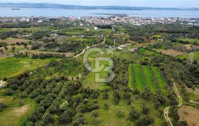 ÇANAKKALE LAPSEKİ ÇARDAK'TA YOLU OLAN SATILIK 3490 M2 BAĞ